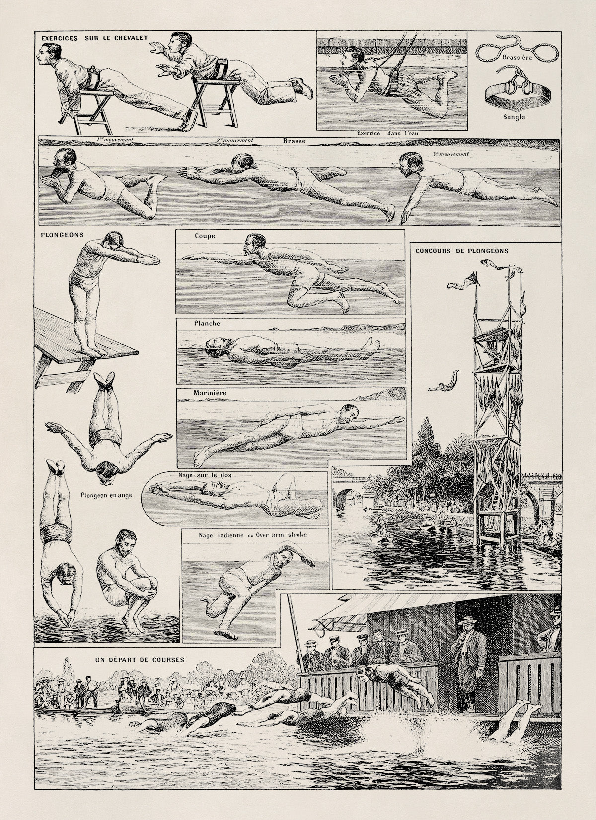 Vintage Swimming Techniques Illustration Print, FD17