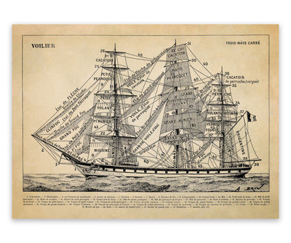 Historic Three Masted Sailing Ship Illustration Print, FD19