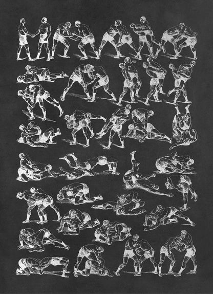 Sport Wrestling Moves Illustration Print, FD26