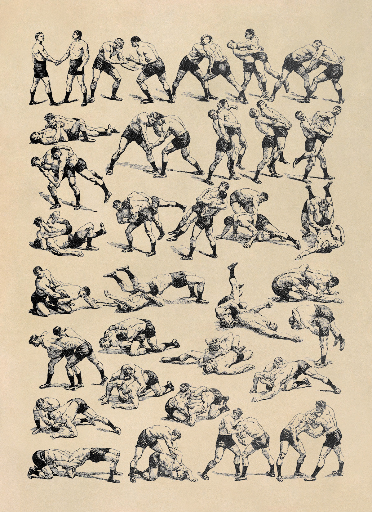 Sport Wrestling Moves Illustration Print, FD26