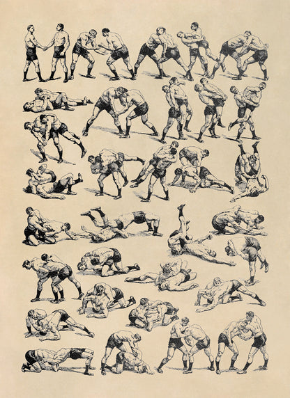 Sport Wrestling Moves Illustration Print, FD26