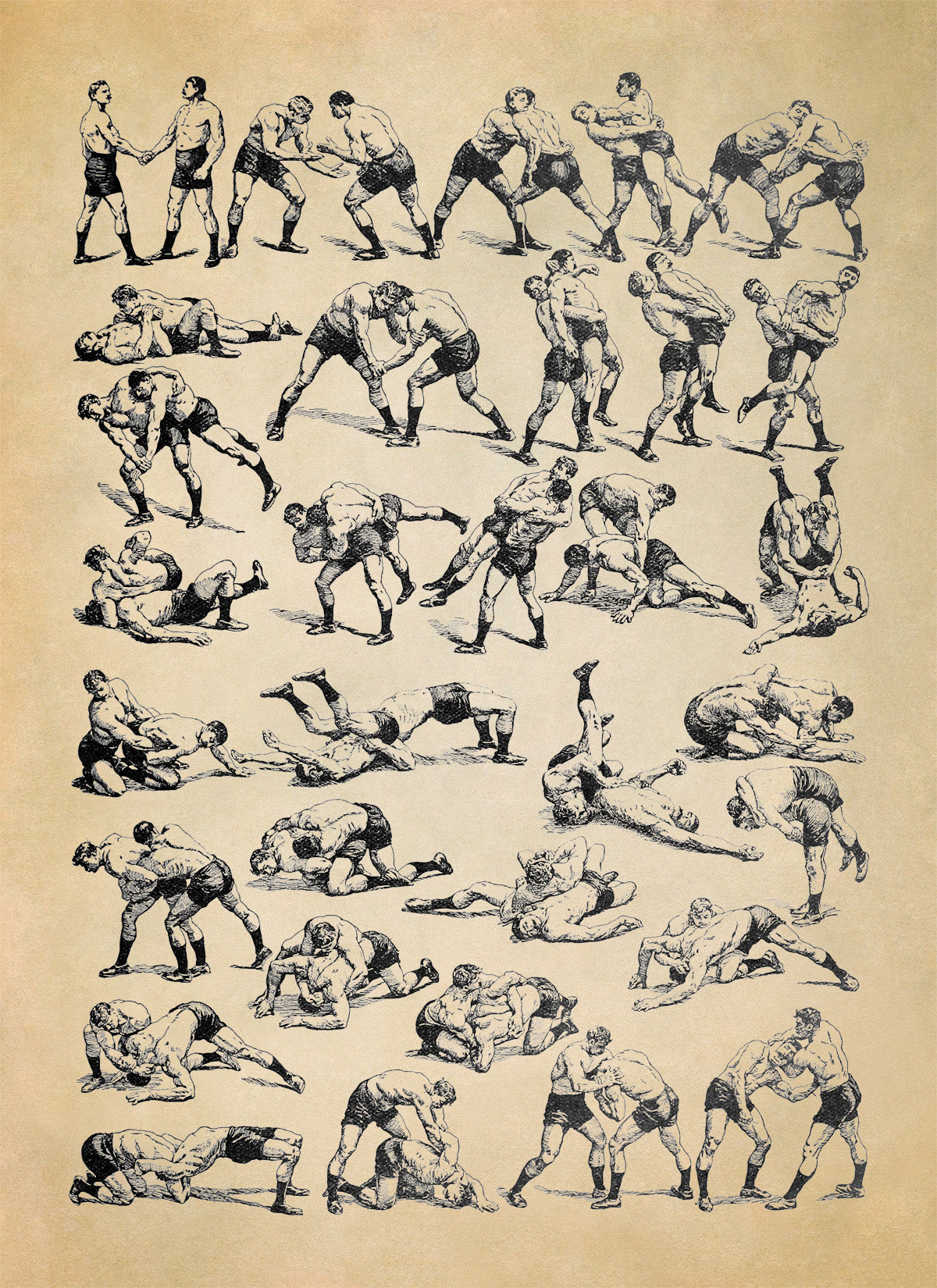 Sport Wrestling Moves Illustration Print, FD26