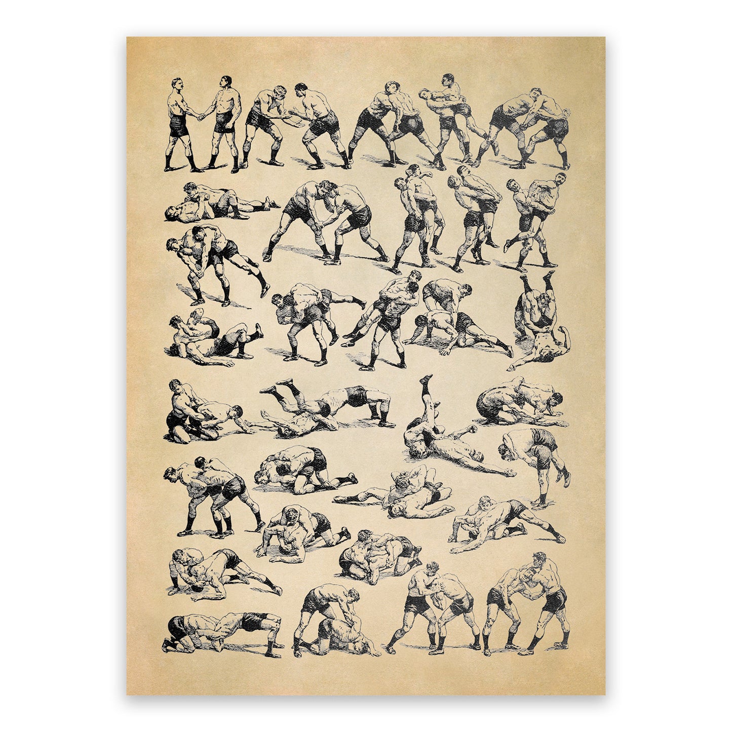 Sport Wrestling Moves Illustration Print, FD26