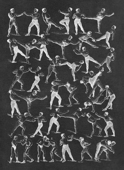 Vintage Boxing and Wrestling Moves Illustration Print, FD30