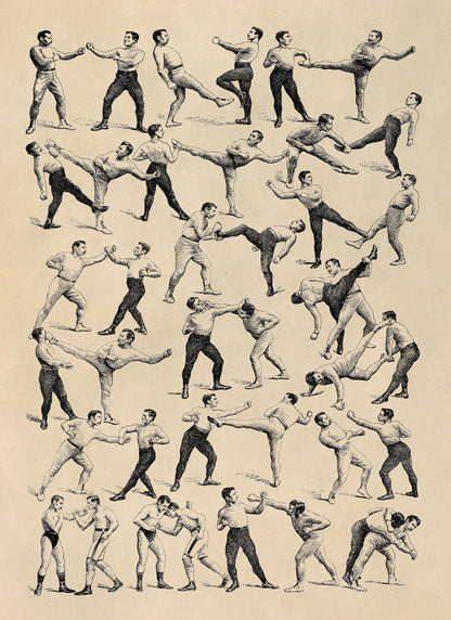 Vintage Boxing and Wrestling Moves Illustration Print, FD30