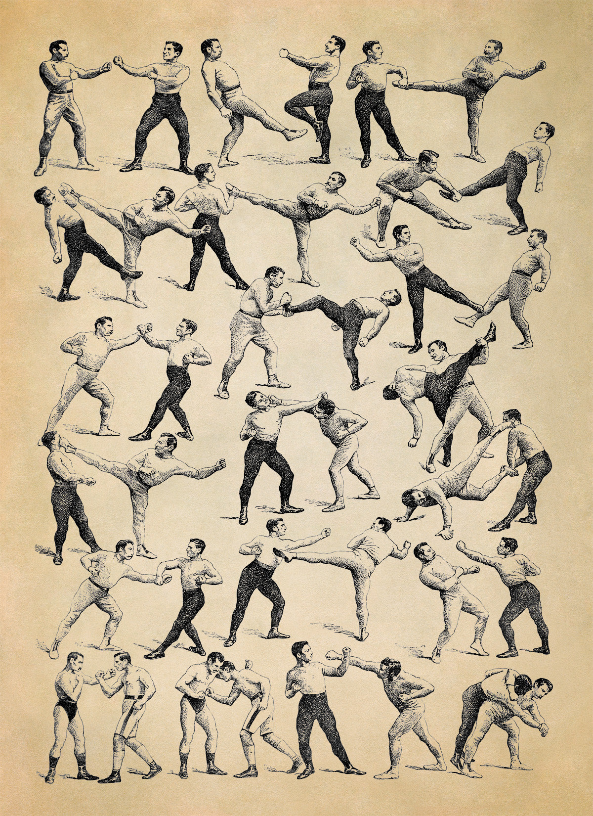 Vintage Boxing and Wrestling Moves Illustration Print, FD30