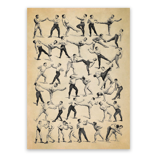 Vintage Boxing and Wrestling Moves Illustration Print, FD30