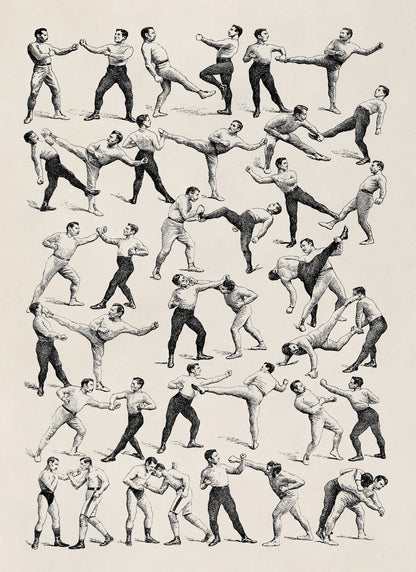 Vintage Boxing and Wrestling Moves Illustration Print, FD30