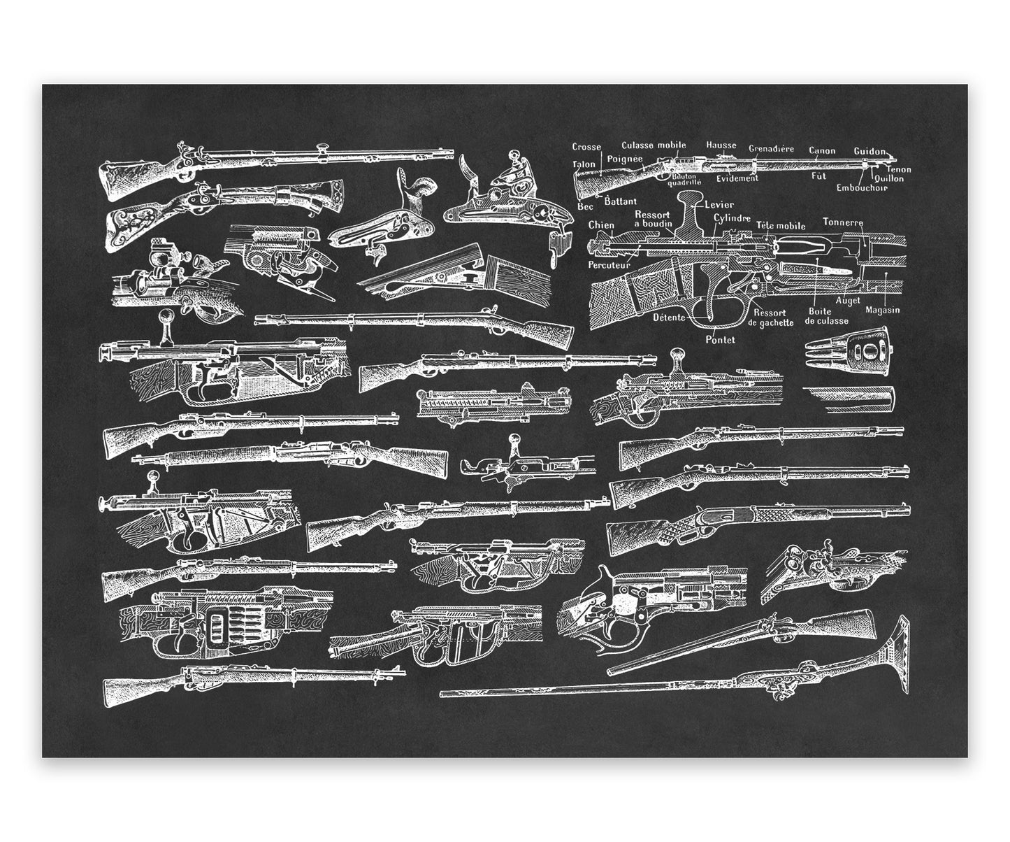 Vintage Firearms Illustration Print, FD37