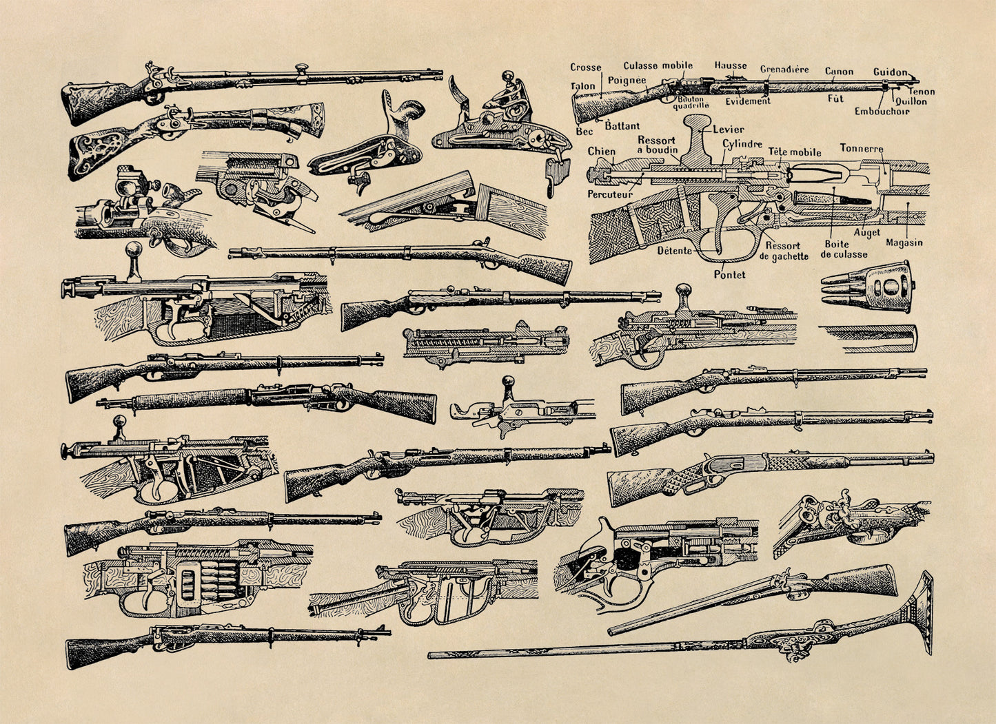 Vintage Firearms Illustration Print, FD37