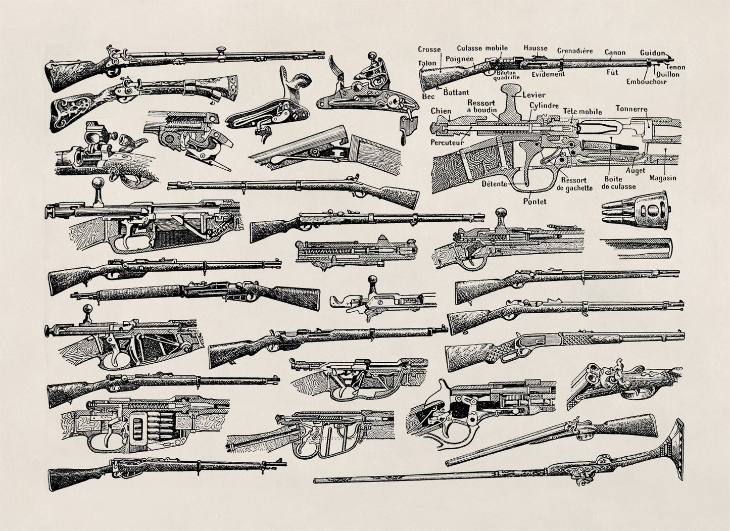 Vintage Firearms Illustration Print, FD37