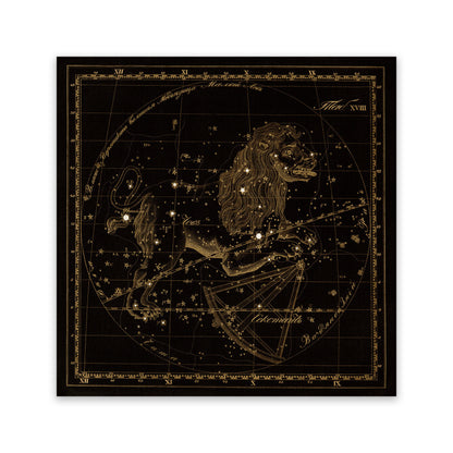 Leo Zodiac Constellation Illustration, Vintage Style Russian Astronomy Print