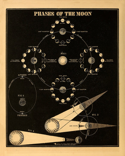 Phases of the Moon Diagram, Astronomy Chart Illustration Print SIA14