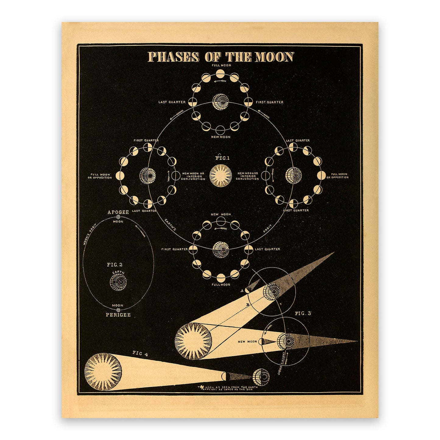 Phases of the Moon Diagram, Astronomy Chart Illustration Print SIA14