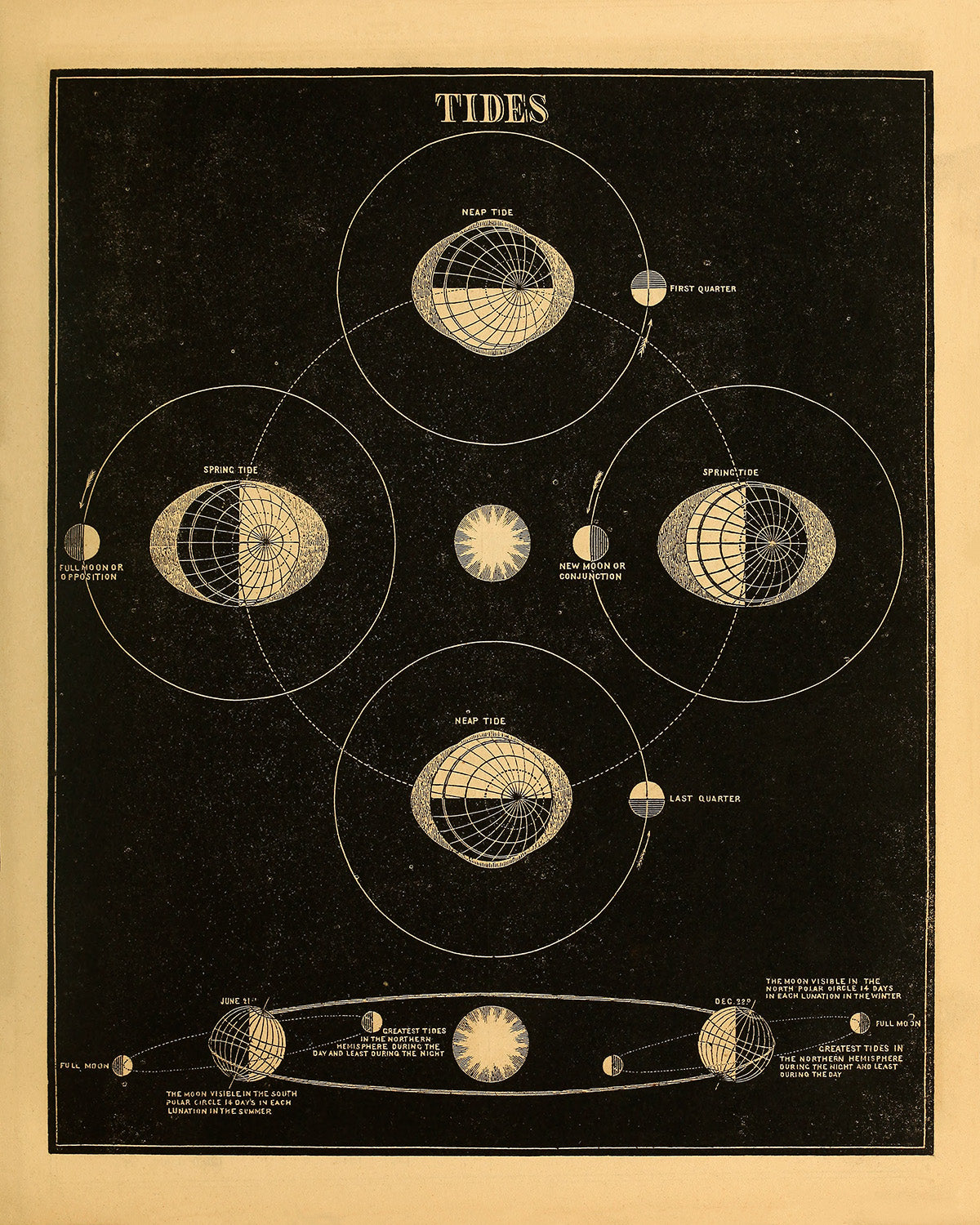 Earth Tides Diagram, Vintage Astronomy Chart Illustration Print SIA22