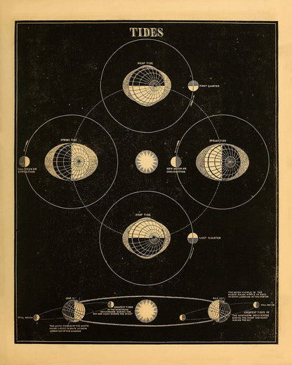 Earth Tides Diagram, Vintage Astronomy Chart Illustration Print SIA22