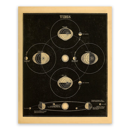 Earth Tides Diagram, Vintage Astronomy Chart Illustration Print SIA22