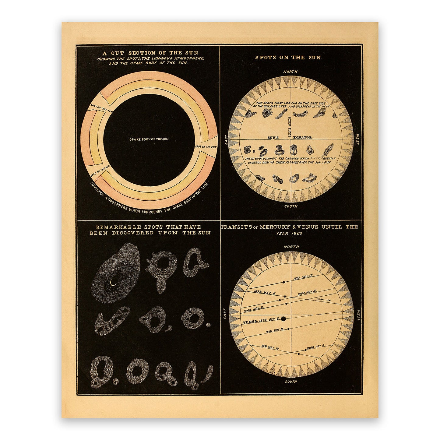 Sun Diagram featuring Sun Spots, Astronomy Chart Illustration Print SIA4