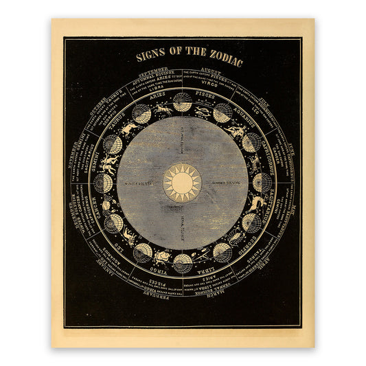 Signs of The Zodiac Celestial Diagram, Astronomy Chart Illustration Print SIA5