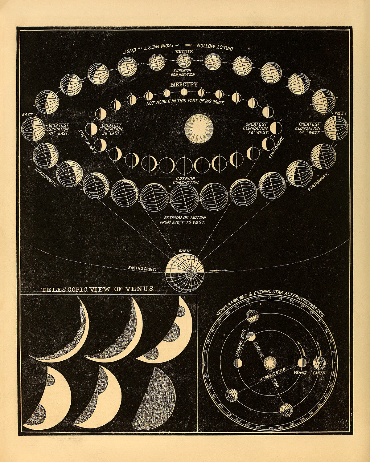 Mercury and Venus Planetary Orbit Diagram, Astronomy Chart Illustration Print SIA6