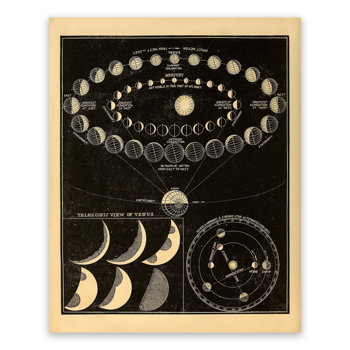 Mercury and Venus Planetary Orbit Diagram, Astronomy Chart Illustration Print SIA6