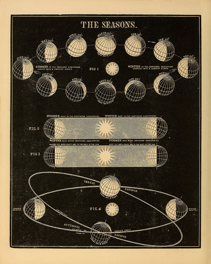 Seasons on Planet Earth Diagram, Astronomy Chart Illustration Print SIA8