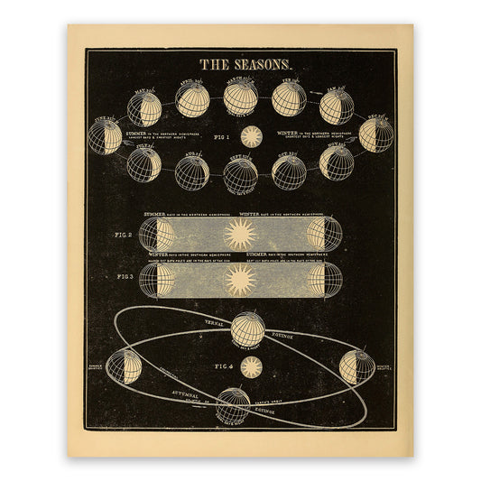 Seasons on Planet Earth Diagram, Astronomy Chart Illustration Print SIA8