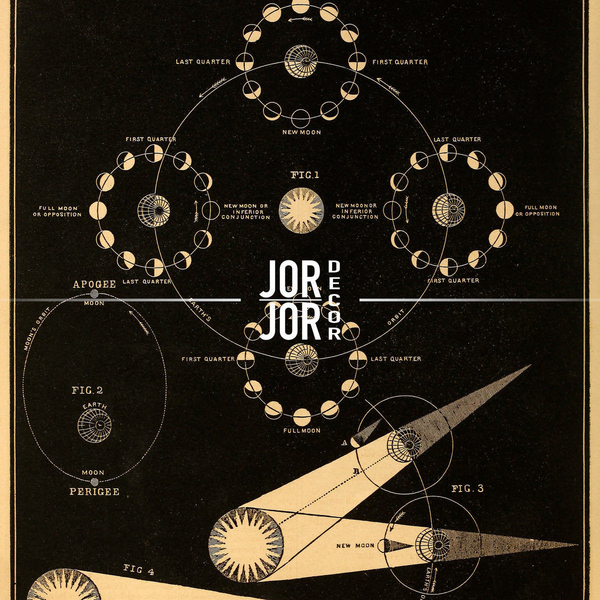 The image is a detailed illustration of the phases of the moon, showing the moon's position relative to the Earth and the Sun. It includes various celestial bodies and their relative positions, such as the moon, Earth, and Sun, as well as the moon's phases and the Earth's position in relation to the Sun. The image is a collage of multiple images, and the text is not too long, avoiding redundancy and focusing on the key elements of the illustration.
