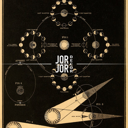 The image is a detailed illustration of the phases of the moon, showing the moon's position relative to the Earth and the Sun. It includes various celestial bodies and their relative positions, such as the moon, Earth, and Sun, as well as the moon's phases and the Earth's position in relation to the Sun. The image is a collage of multiple images, and the text is not too long, avoiding redundancy and focusing on the key elements of the illustration.