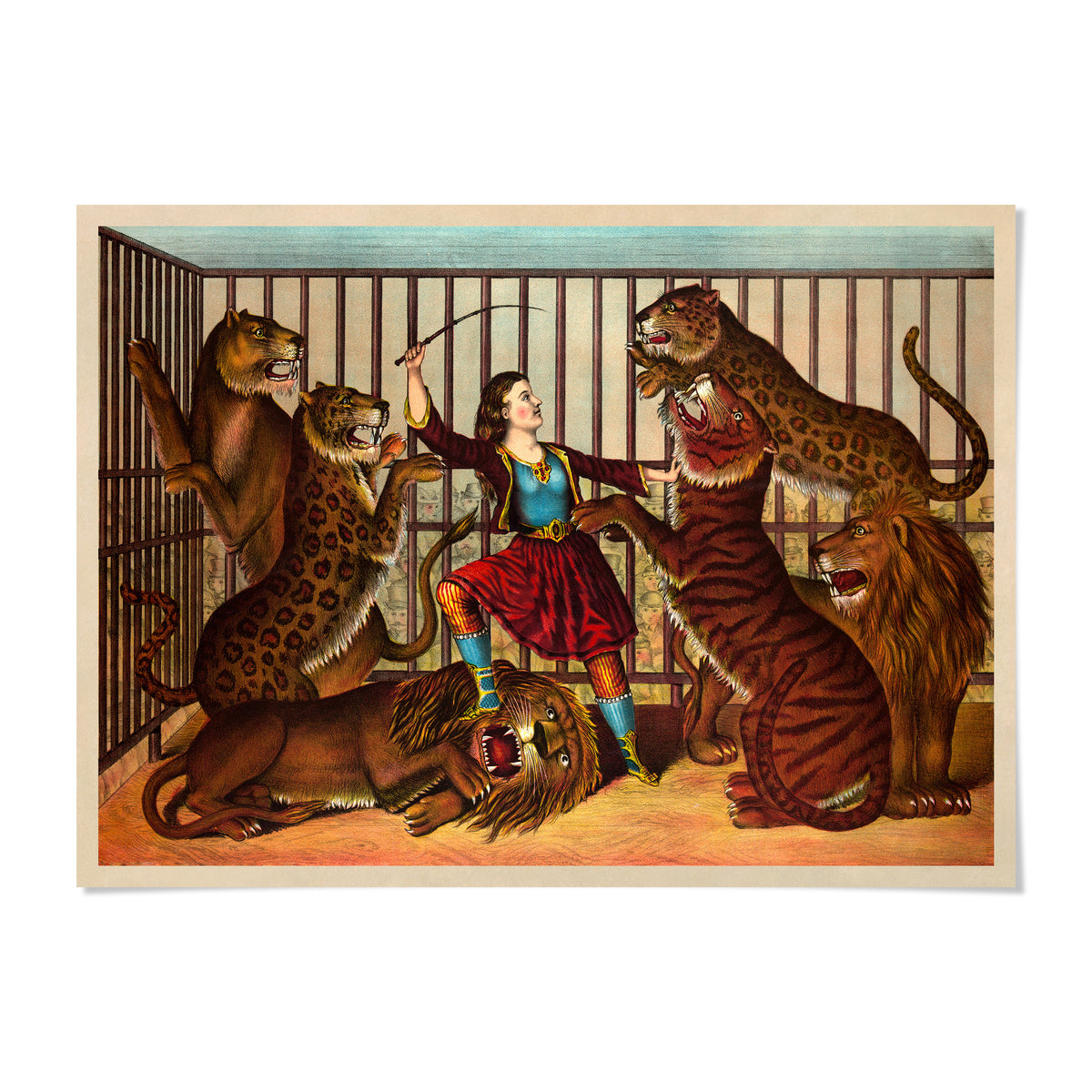 A woman in a red dress stands in the center of a circus ring, surrounded by five lions and two tigers.